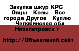 Закупка шкур КРС , Овцы , Козы - Все города Другое » Куплю   . Челябинская обл.,Нязепетровск г.